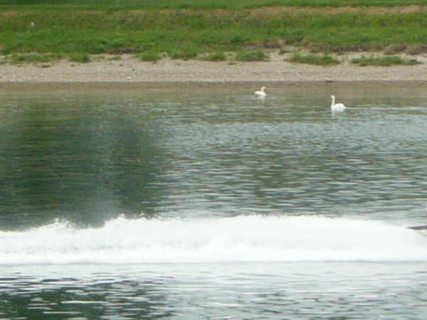 Zdjęcia Gęsie Góry