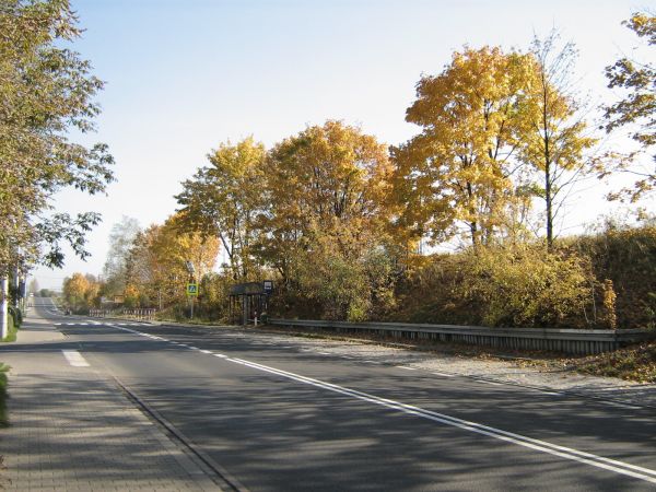 Wyrazów - ul. Częstochowska,  kierunek Częstochowa