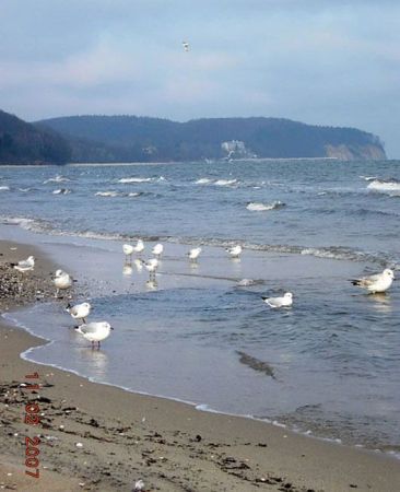 zdjecie Sopot