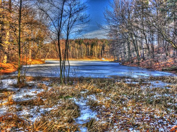 zdjecie Wodzisław Śląski