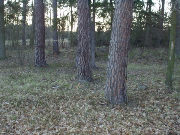 Gdyby nie te oczy to wcale nie byłoby mnie widać.