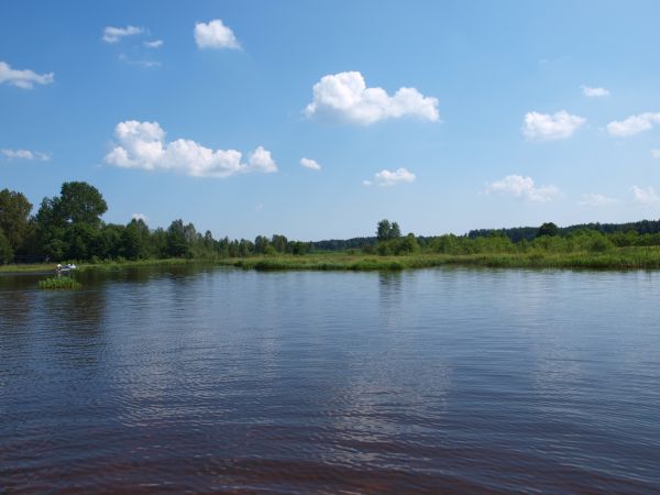 zdjecie Sielpia Wielka