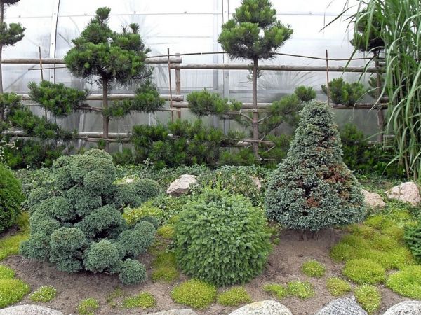 FRANK-RAJ _Ozdobne Ogrody Polskie