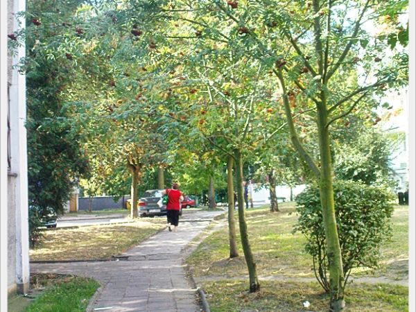 zdjecie Sulechów