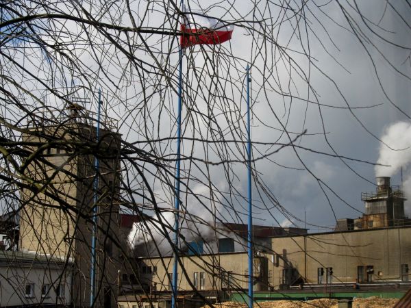 Widok z okien Urzędu Miasta na zakład płyt, Steico. Te białe obłoki wydostające się z kominów, to para wodna, główny mechanizm napedzający produkcję.