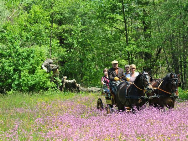 Spacer po lakach wiosna