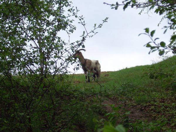 zdjecie Ciężkowice