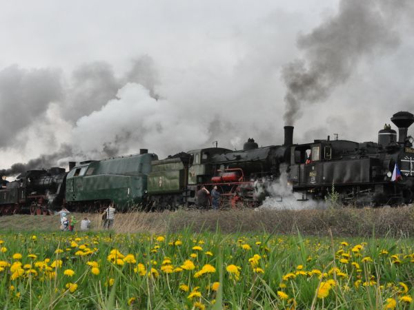 Wolsztyn, Parada Parowozów.