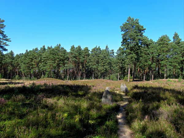 Kamienne Kręgi w Odrach