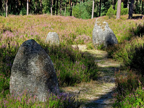 Kamienne Kręgi w Odrach
