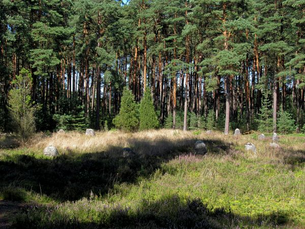 Kamienne Kręgi w Odrach