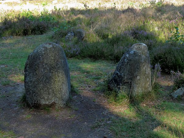 Kamienne Kręgi w Odrach