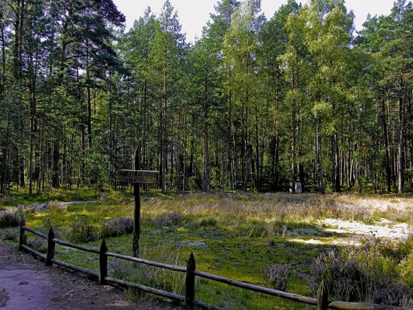 Kamienne Kręgi w Odrach