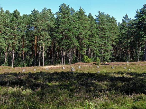 Kamienne Kręgi w Odrach