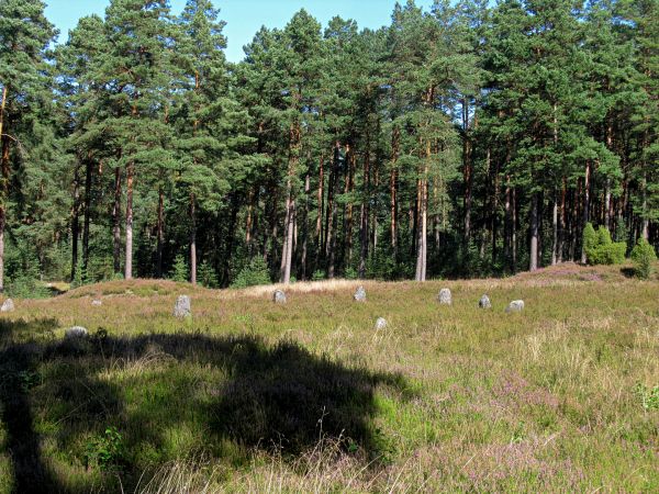 Kamienne Kręgi w Odrach