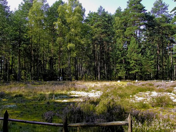 Kamienne Kręgi w Odrach