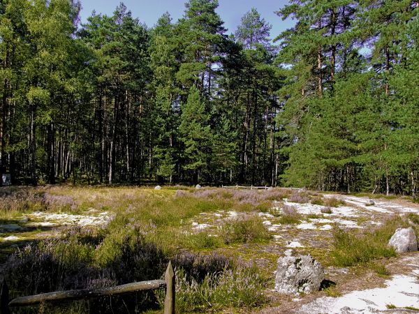 Kamienne Kręgi w Odrach