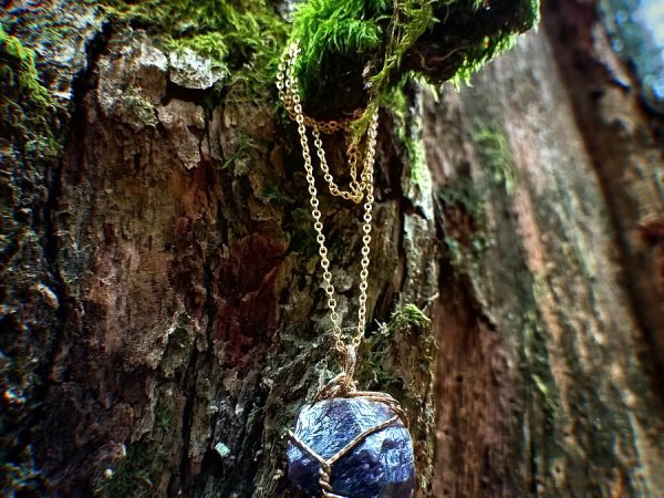 Kamienne Kręgi w Grzybnicy i Drzewo Darów