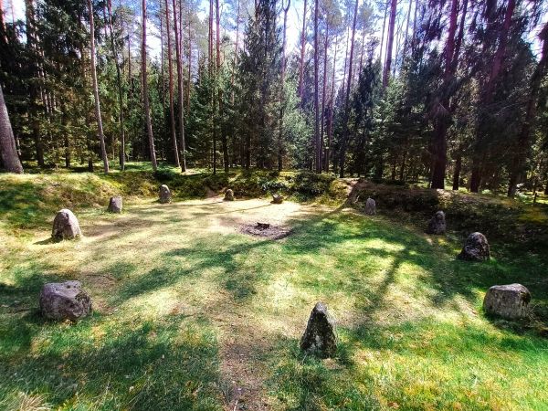 Kamienne Kręgi w Grzybnicy i Drzewo Darów