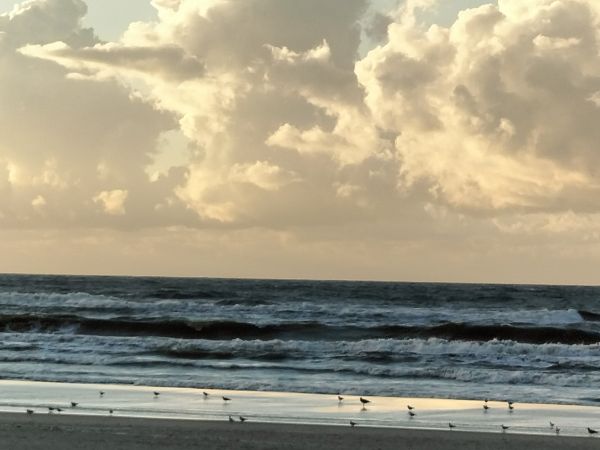 Plaża wejście nr 25