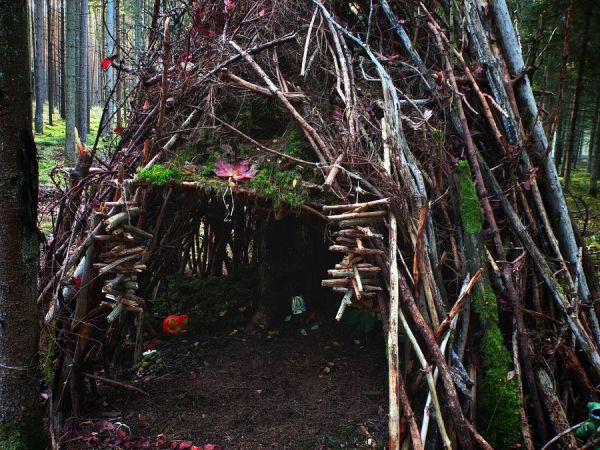 Kamienne Kręgi w Grzybnicy i Drzewo Darów