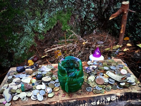 Kamienne Kręgi w Grzybnicy i Drzewo Darów