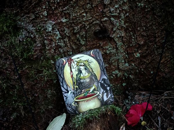 Kamienne Kręgi w Grzybnicy i Drzewo Darów