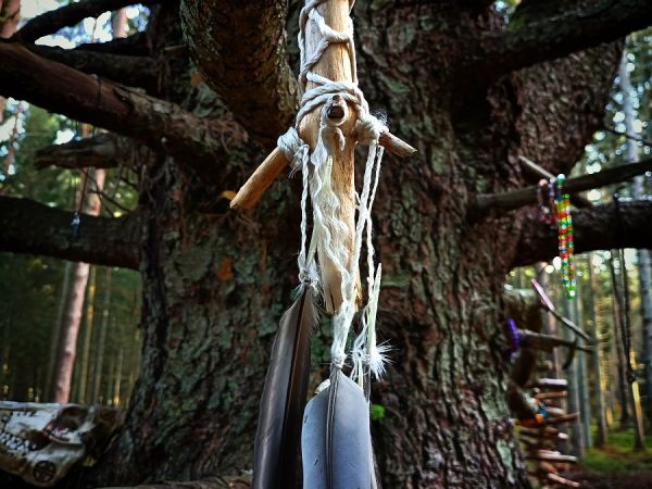 Kamienne Kręgi w Grzybnicy i Drzewo Darów