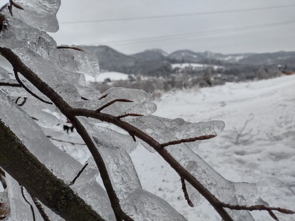 Zdjęcia Jedlina-Zdrój