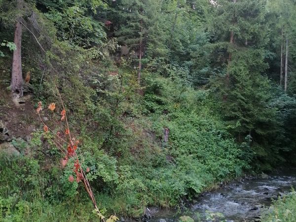 Korbielów,Jeleśnia