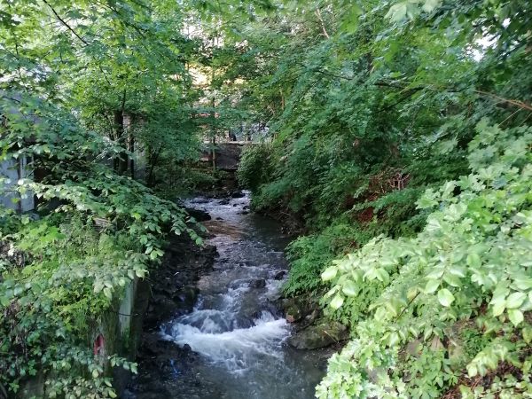 Korbielów,Jeleśnia