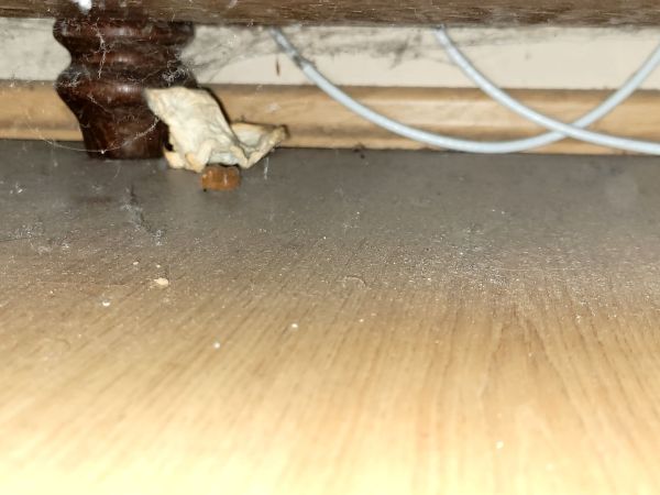 Gospodarstwo agroturystyczne u Lecha - zdjęcia