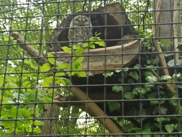 Zoo Opole