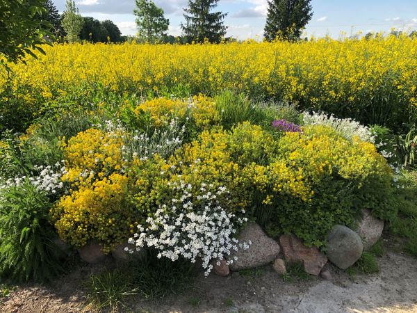 Piękne lato na wsi.