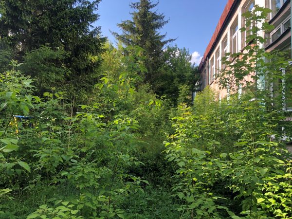 Zdjęcia Milewo-Szwejki