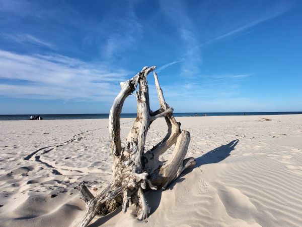 Smołdziński Las i okolice