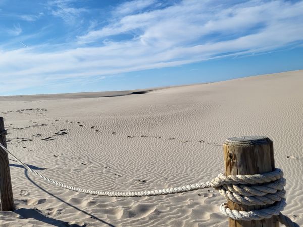 Smołdziński Las i okolice