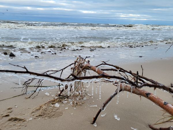 Smołdziński Las i okolice