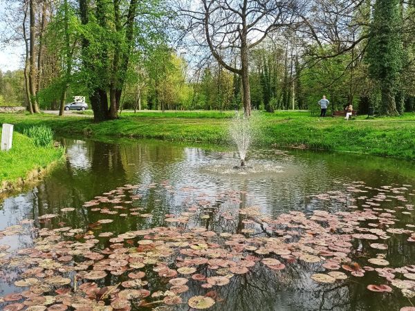Ruiny Zamku Książąt Piastowskich