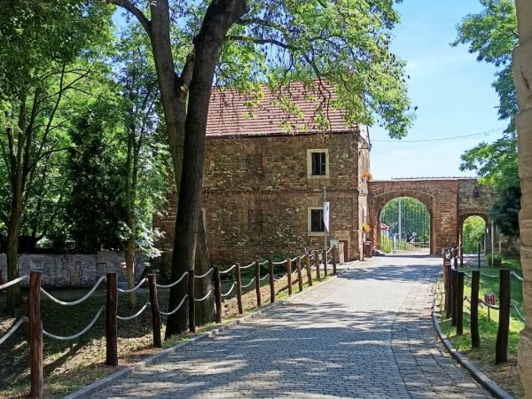 Zamek Toszek