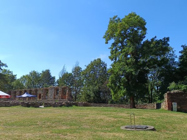 Zamek Toszek
