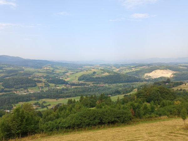 Platforma Widokowa " Ślimak"