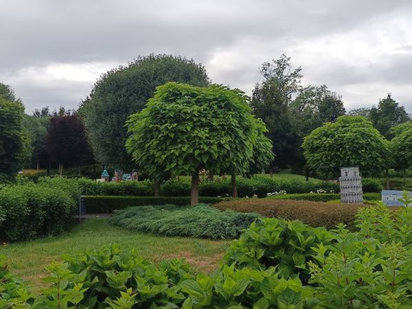 Park Miniatur Olszowa