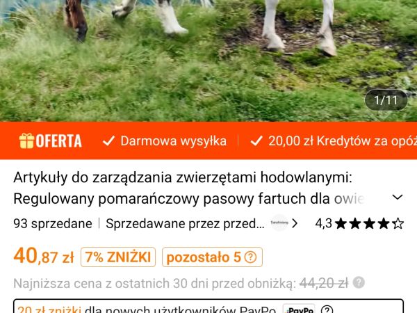 Koziołki z Poznania
