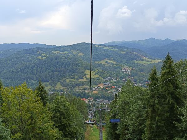 Palenica