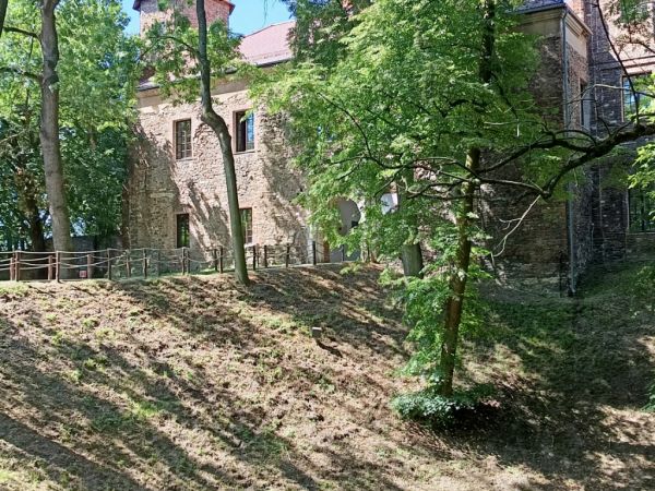 Zamek Toszek