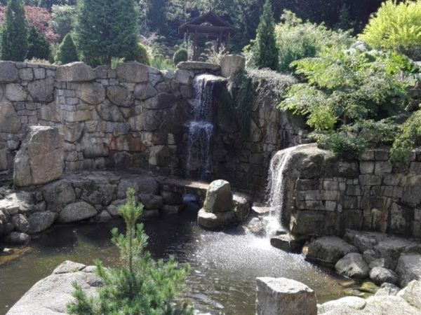 Ogród Japoński Siruwia