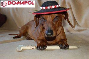 Domapol ścisłe centrum Zakopane