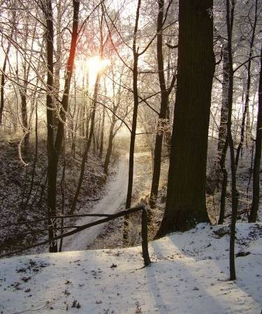 Gospodarstwo Agroturystyczne Zagaje