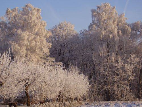 Gospodarstwo Agroturystyczne Zagaje